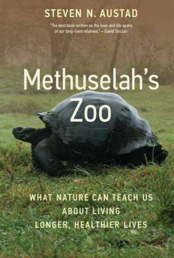 Methuselah's Zoo av Steven N. Austad