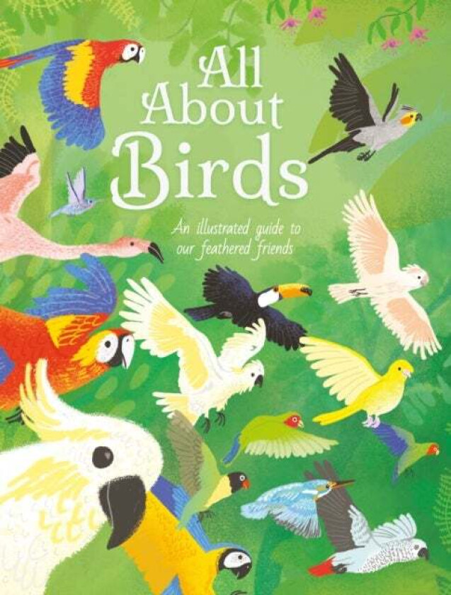All About Birds av Polly Cheeseman