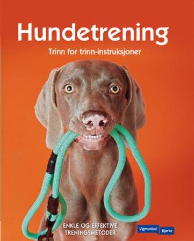 Hundetrening av Kyra Sundance