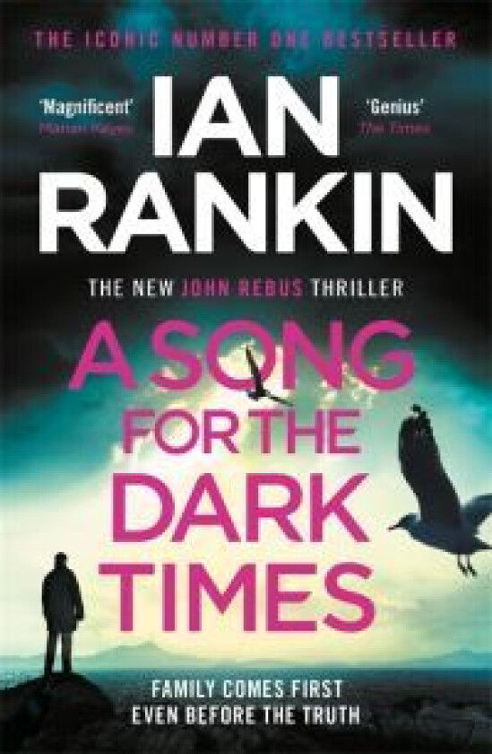 A song for the dark times av Ian Rankin