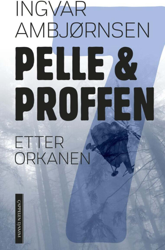 Etter orkanen av Ingvar Ambjørnsen