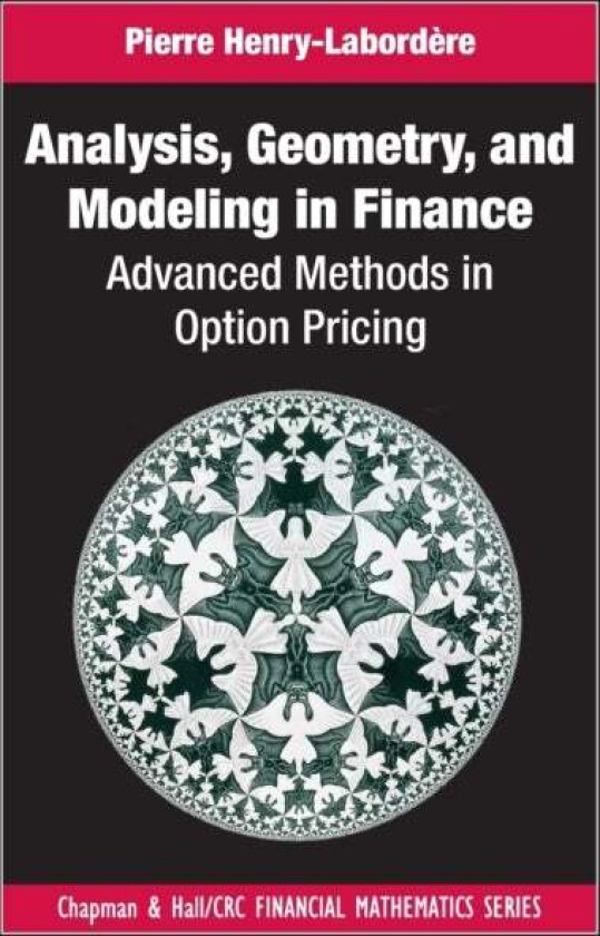 Analysis, Geometry, and Modeling in Finance av Pierre (Societe Generale Paris France) Henry-Labordere