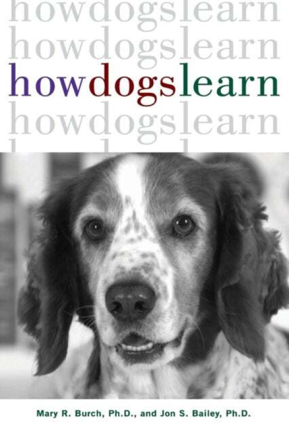 How Dogs Learn av Mary R. Burch, Jon S. Ph.D. Bailey