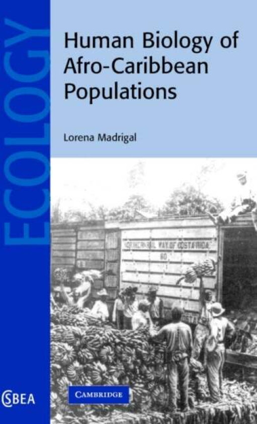 Human Biology of Afro-Caribbean Populations av Lorena (University of South Florida) Madrigal