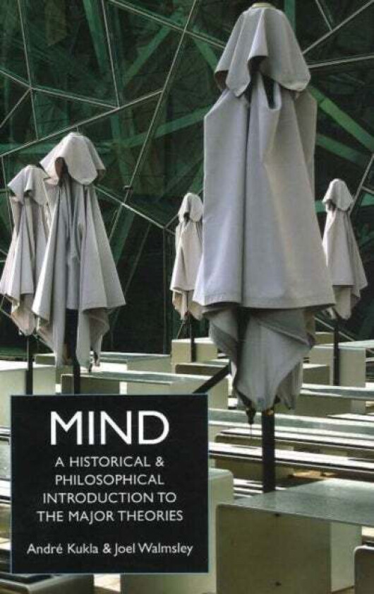 Mind av Andre Kukla, Joel Walmsley
