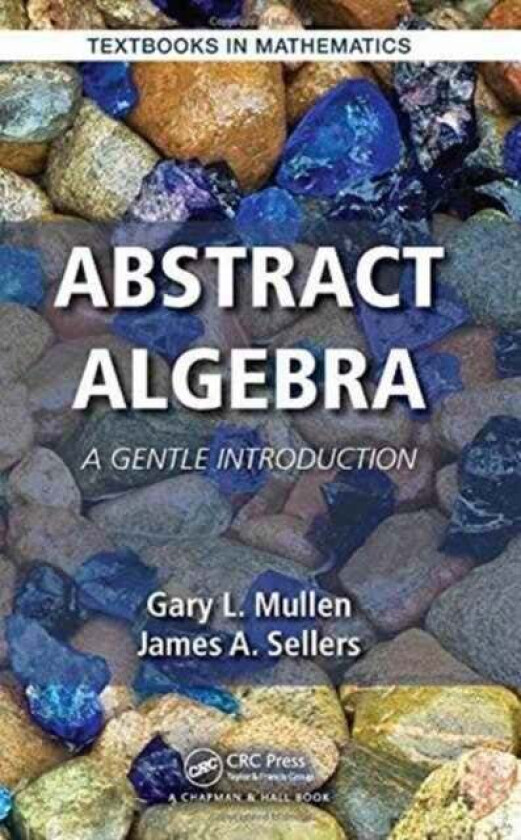 Abstract Algebra av Gary L. (Penn State University University Park Pennsylvania USA) Mullen, James A. Sellers