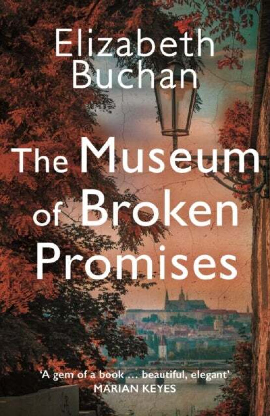 The Museum of Broken Promises av Elizabeth Buchan