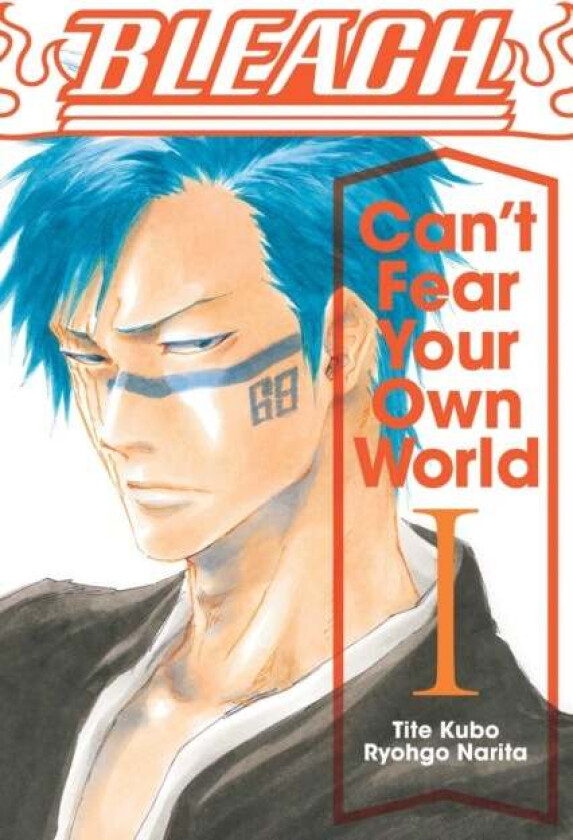 Bleach: Can't Fear Your Own World, Vol. 1 av Ryohgo Narita