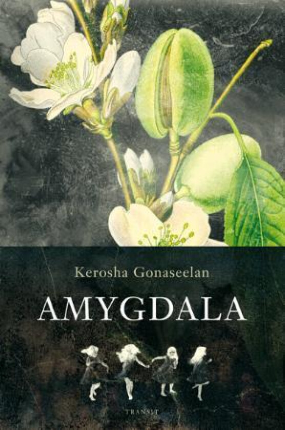 Amygdala av Kerosha Gonaseelan
