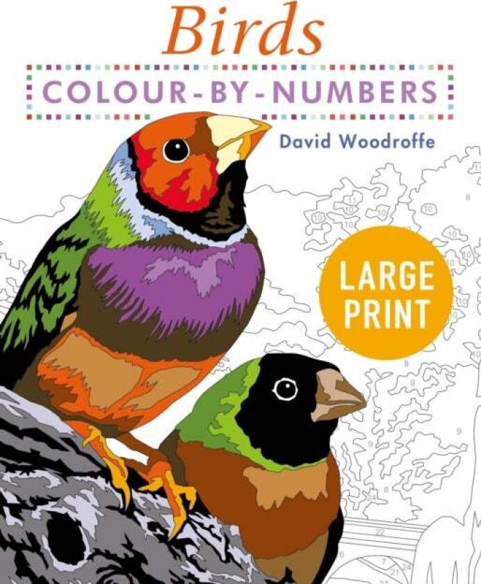 Large Print Colour by Numbers Birds av David Woodroffe