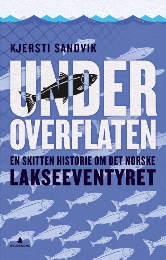 Under overflaten av Kjersti Sandvik