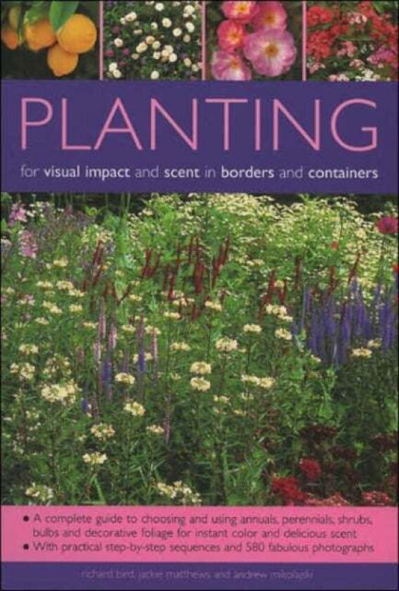 Planting for Visual Impact and Scent in Borders and Containers av Richard Bird, Jackie Matthews, Andrew Mikolajski