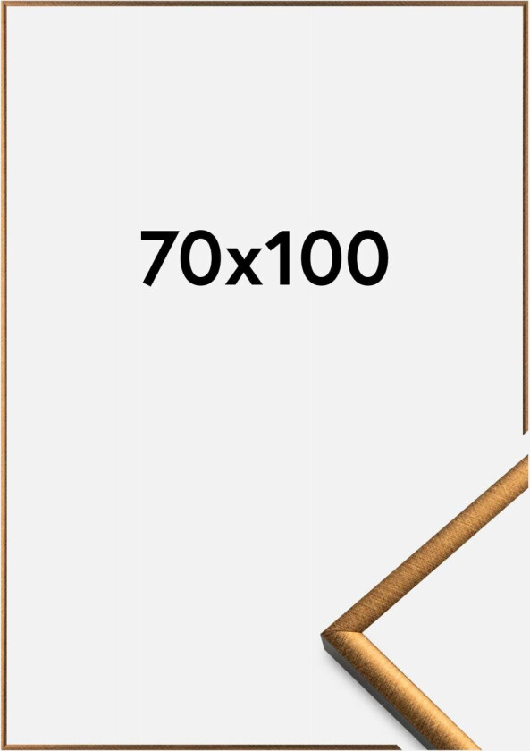 Ramme New Lifestyle Bronse 70x100 Cm