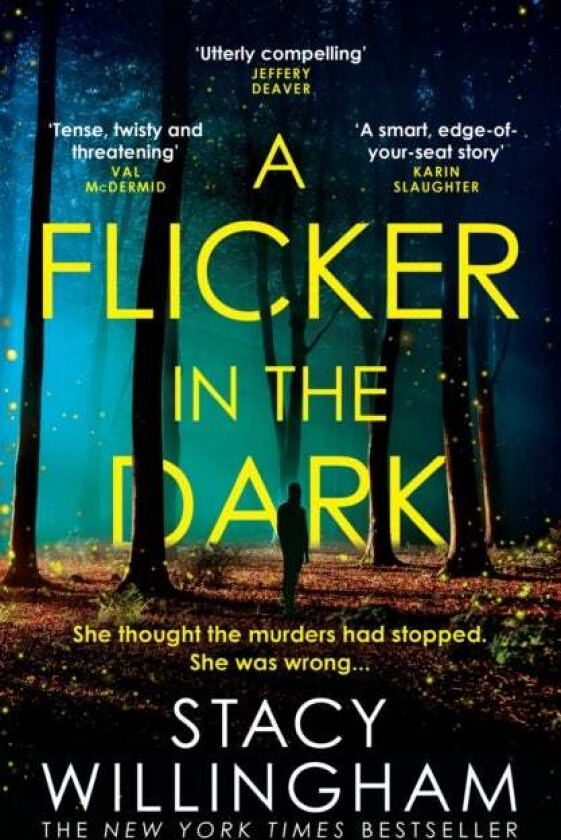 A Flicker in the Dark av Stacy Willingham