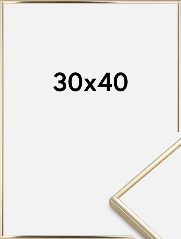 Ramme Visby Akrylglass Blank Gull 30x40 Cm
