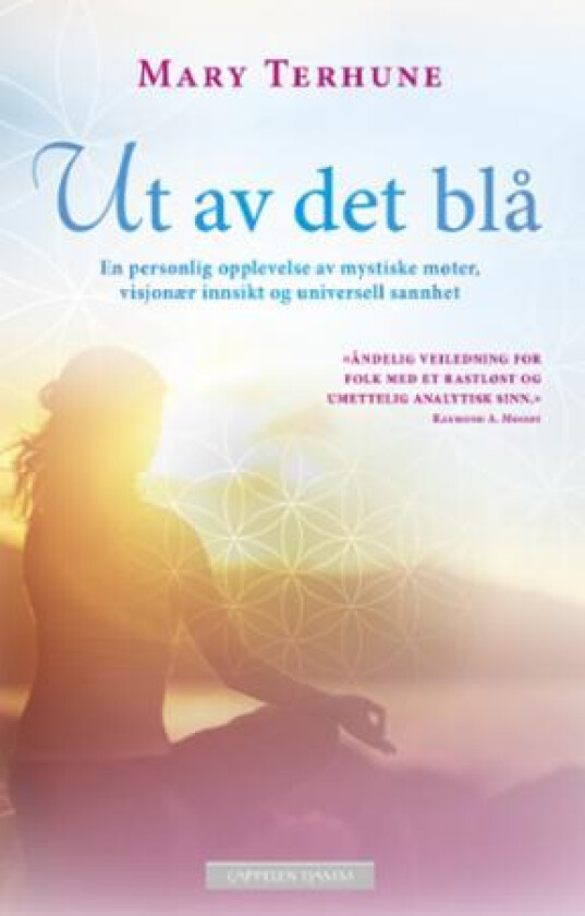 Ut av det blå av Mary Terhune