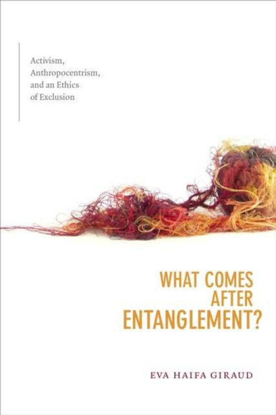 What Comes after Entanglement? av Eva Haifa Giraud