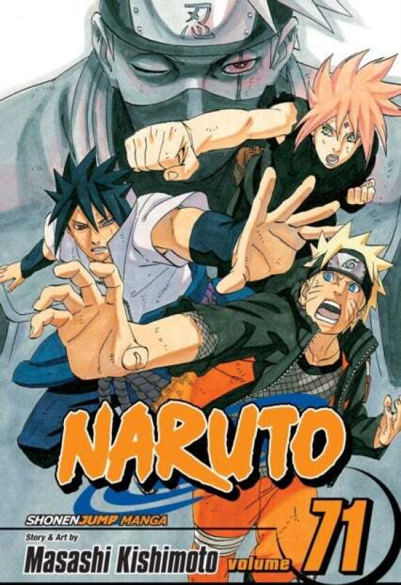 Naruto, Vol. 71 av Masashi Kishimoto