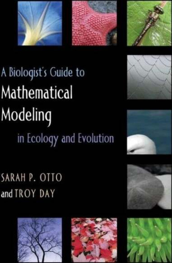 A Biologist's Guide to Mathematical Modeling in Ecology and Evolution av Sarah P. Otto, Troy Day