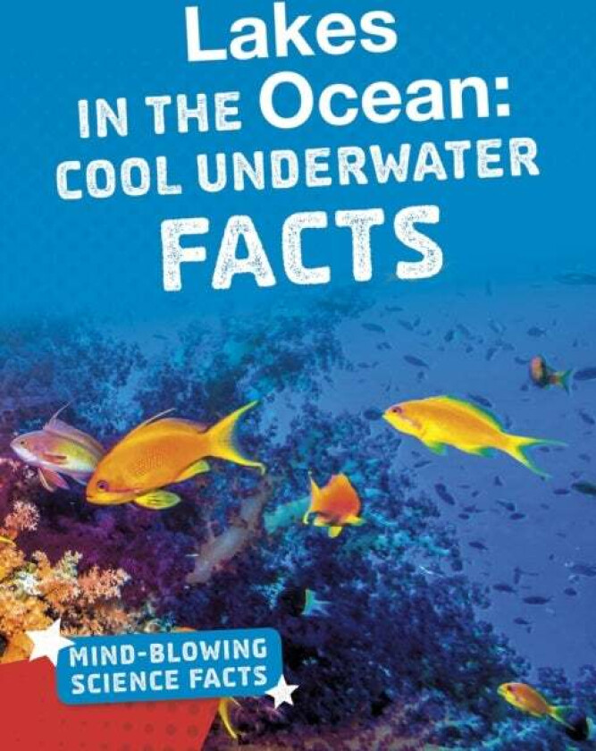 Lakes in the Ocean av Kimberly M. Hutmacher