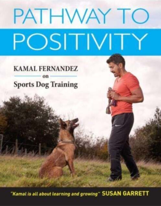 Pathway To Positivity av Kamal Fernandez