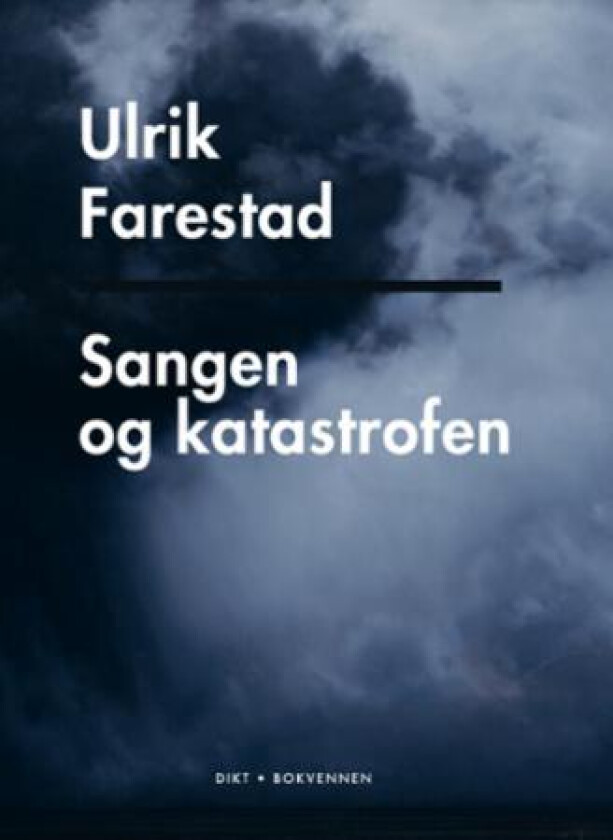Sangen og katastrofen av Ulrik Farestad