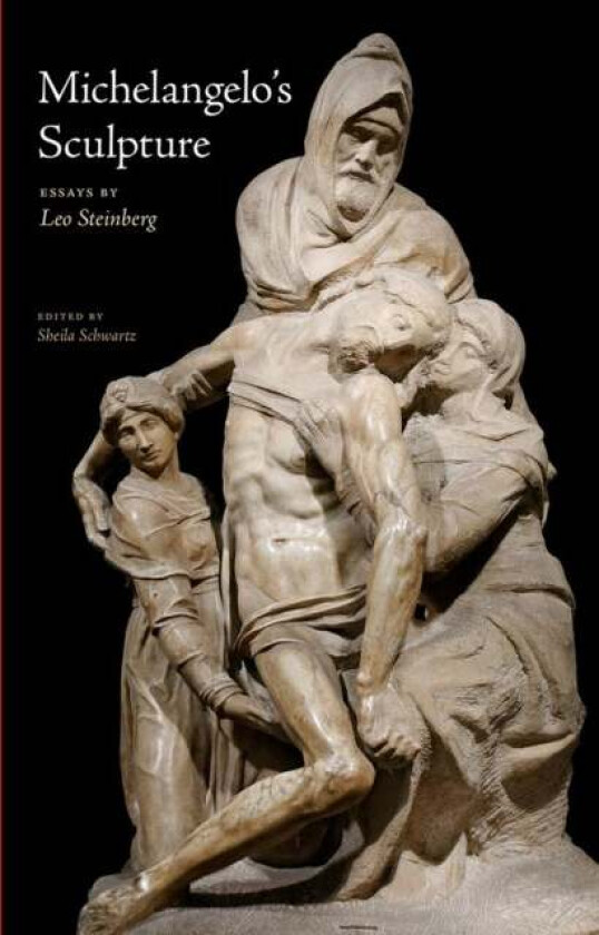 Michelangelo's Sculpture av Leo Steinberg