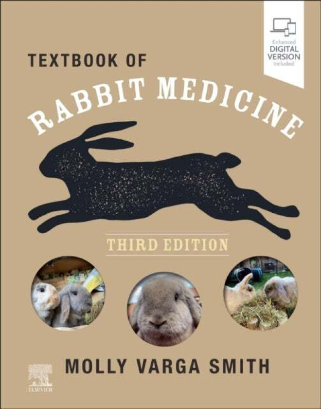 Textbook of Rabbit Medicine av Molly BVetMed CertZooMed DZooMed (Mammalian) MRCVS (Associate Veterinary Surgeon) Varga Smith