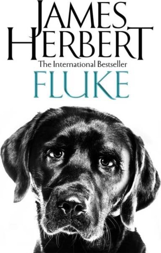 Fluke av James Herbert