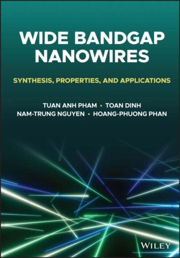 Wide Bandgap Nanowires av Tuan Anh (Griffith University Queensland Australia) Pham, Toan (University of Southern Queensland Queensland Australia) Dinh