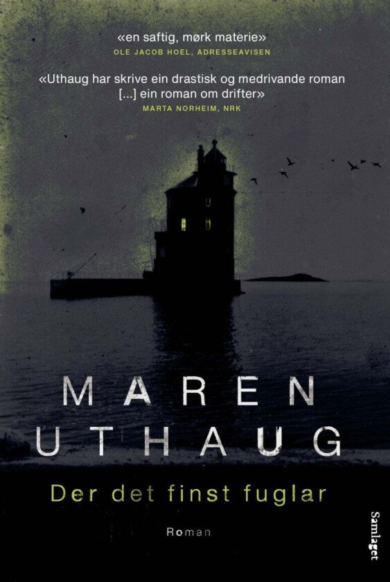 Der det finst fuglar av Maren Uthaug