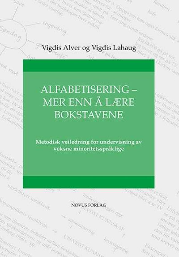 Alfabetisering - mer enn å lære bokstavene av Vigdis Alver, Vigdis Lahaug