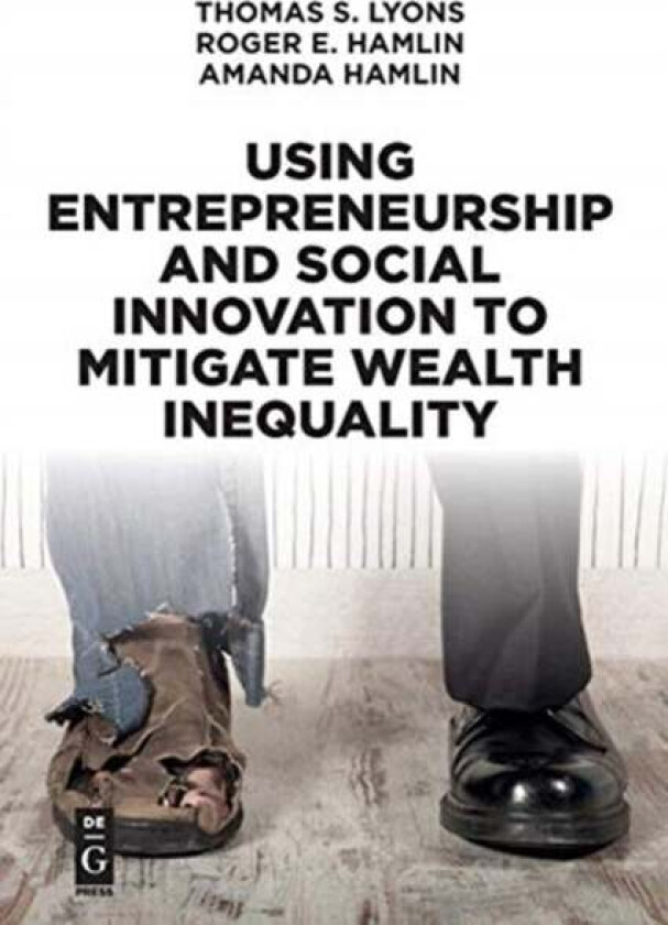 Using Entrepreneurship and Social Innovation to Mitigate Wealth Inequality av Thomas S. Lyons, Roger E. Hamlin, Amanda Hamlin