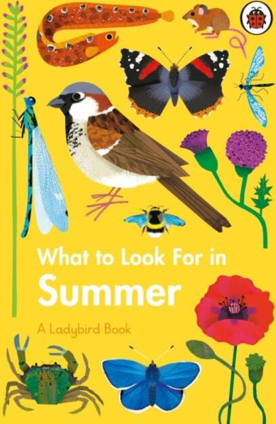What to Look For in Summer av Elizabeth Jenner