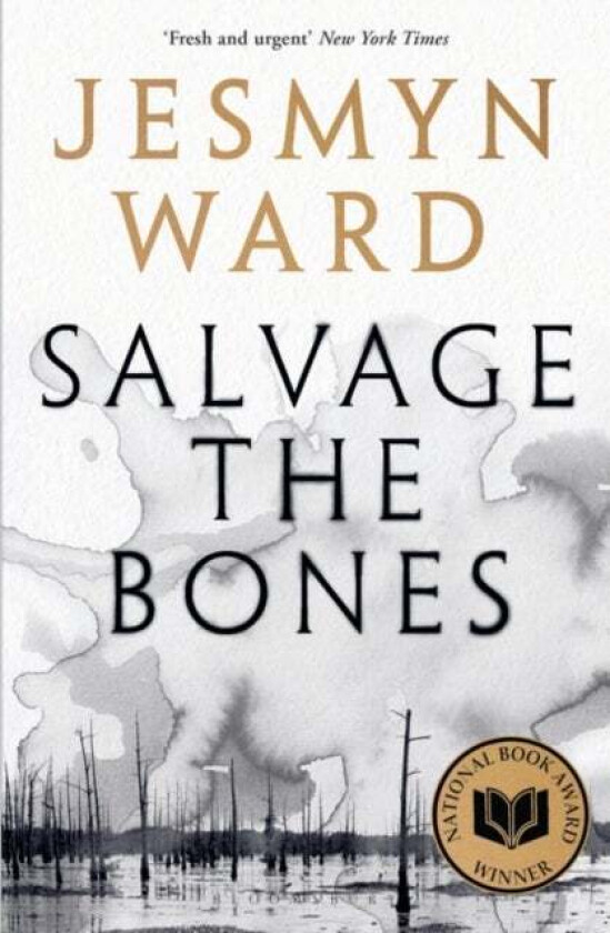 Salvage the bones av Jesmyn Ward