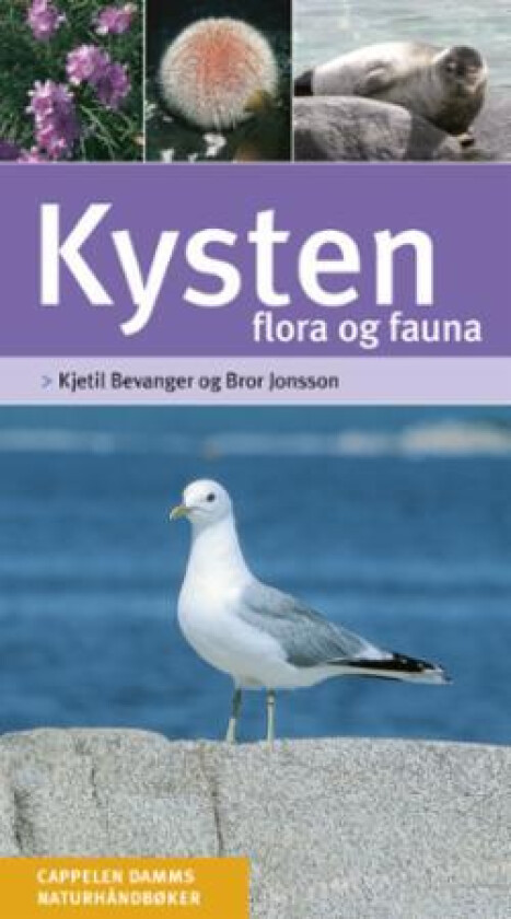 Kysten av Kjetil Bevanger, Bror Jonsson