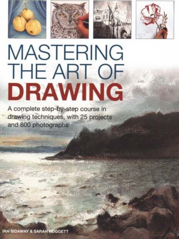 Mastering the Art of Drawing av Ian Sidaway