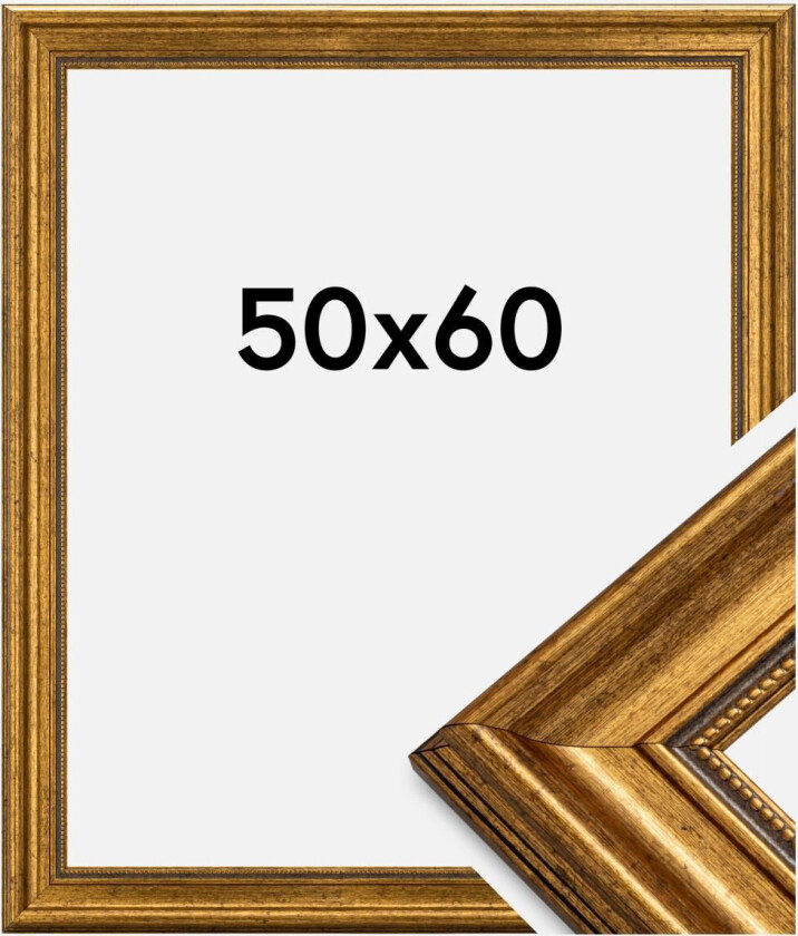 Ramme Rokoko Akrylglass Gull 50x60 Cm