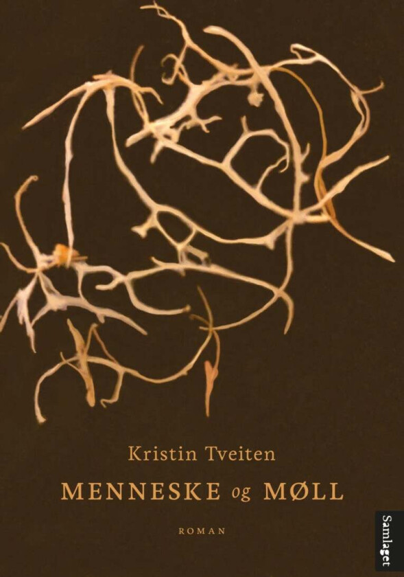 Menneske og møll av Kristin Tveiten