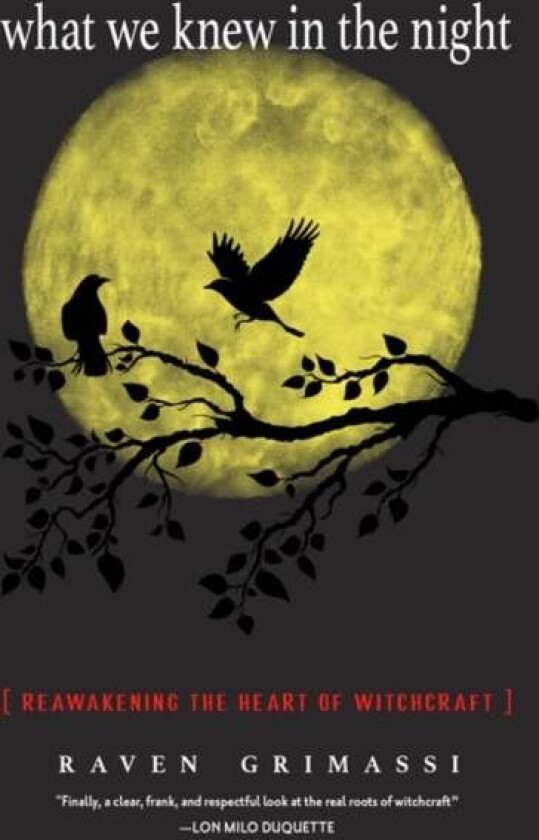 What We Knew in the Night av Raven (Raven Grimassi) Grimassi