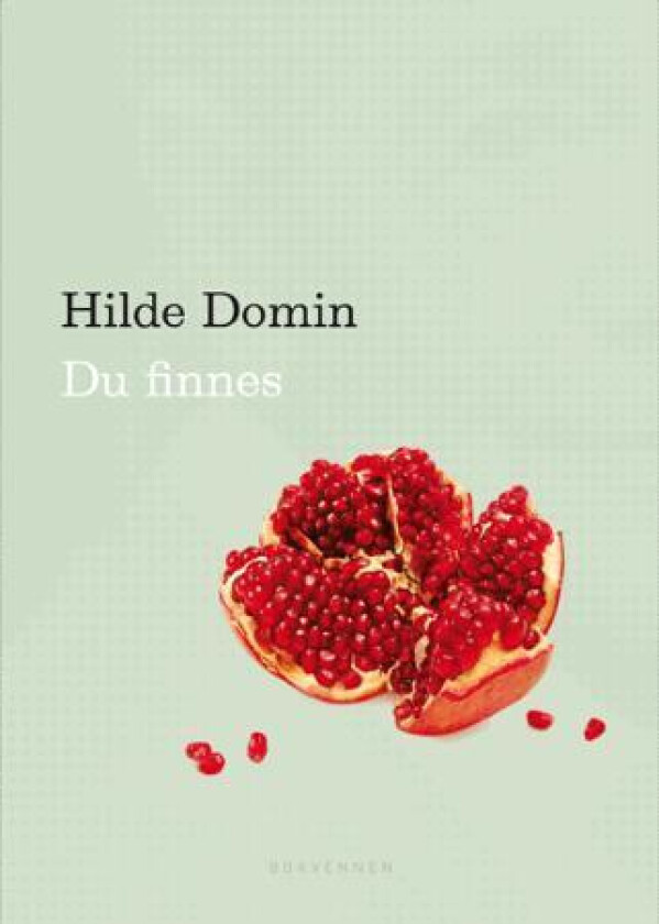 Du finnes av Hilde Domin