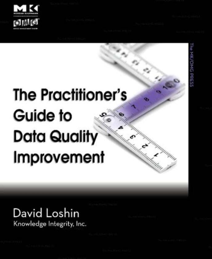 The Practitioner's Guide to Data Quality Improvement av David (President Knowledge Integrity Incorporated Silver Spring MD USA) Loshin