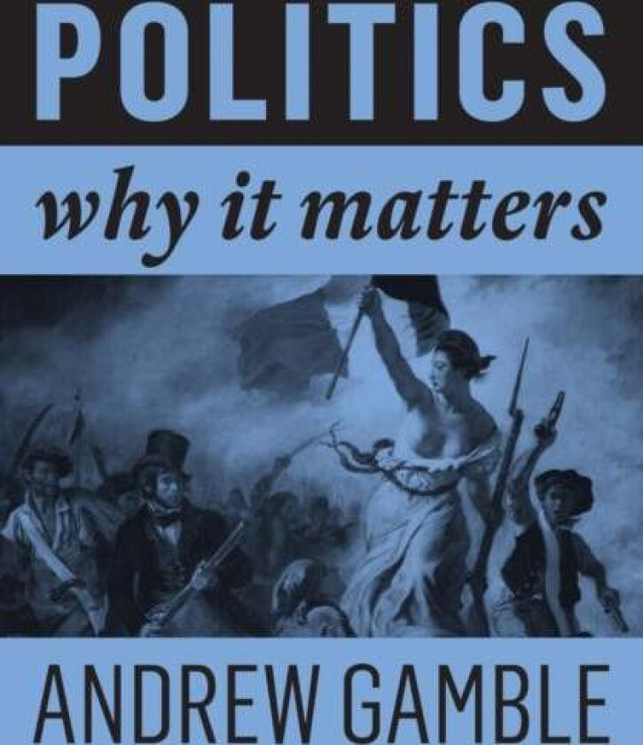 Politics av Andrew (University of Sheffield) Gamble