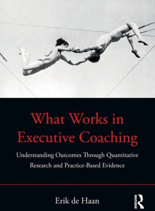What Works in Executive Coaching av Erik de Haan