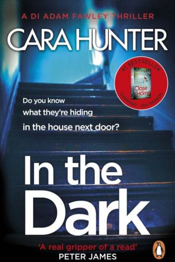 In The Dark av Cara Hunter