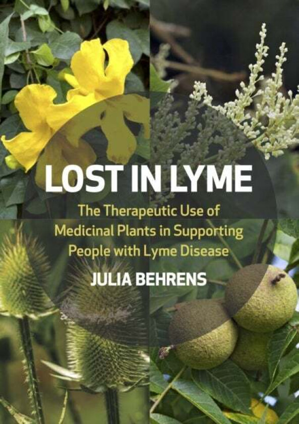 Lost in Lyme av Julia Behrens
