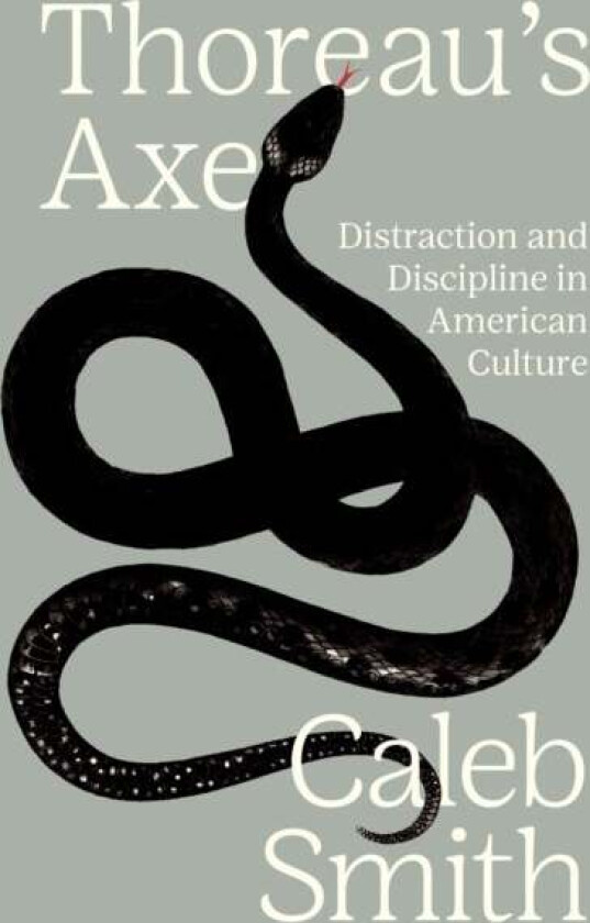 Thoreau's Axe av Caleb Smith