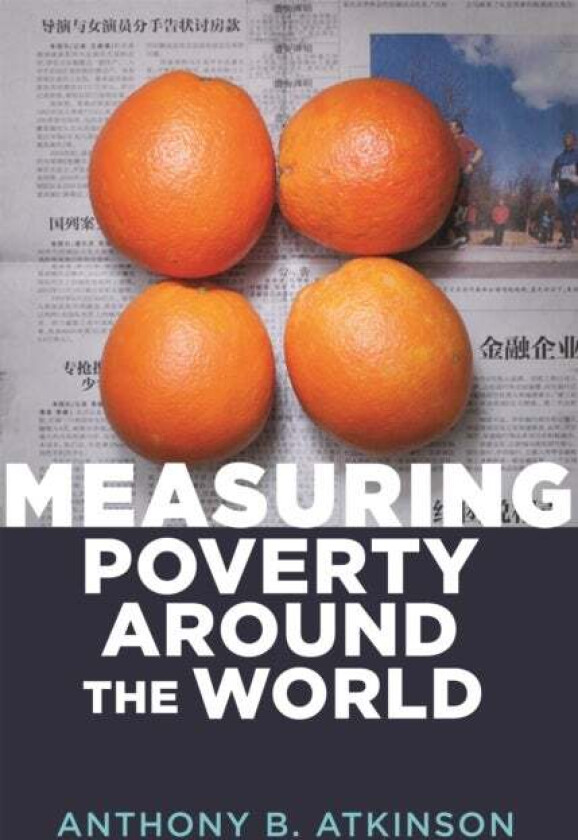 Measuring Poverty around the World av Anthony B. Atkinson