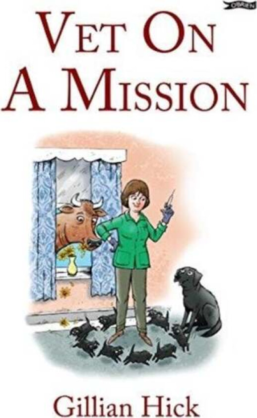 Vet On A Mission av Gillian Hick