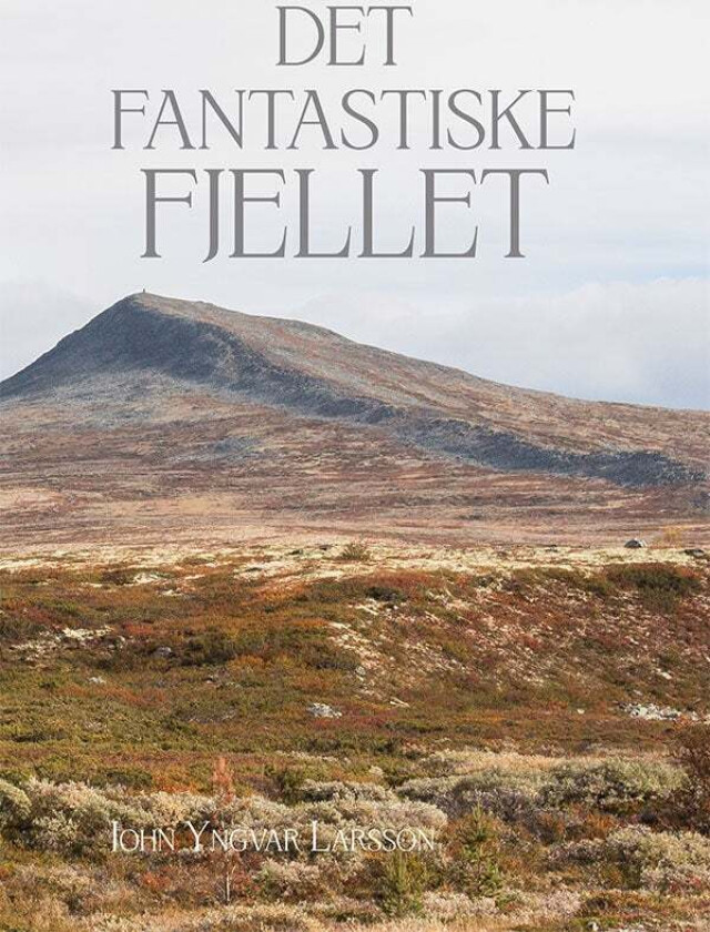 Det fantastiske fjellet av John Y. Larsson